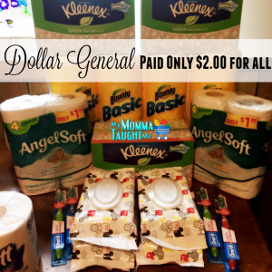 My Dollar General Trip - 18 items for Only $2.00!
