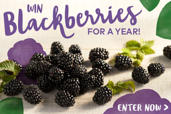 Win Blackberries For A Year Sweepstakes