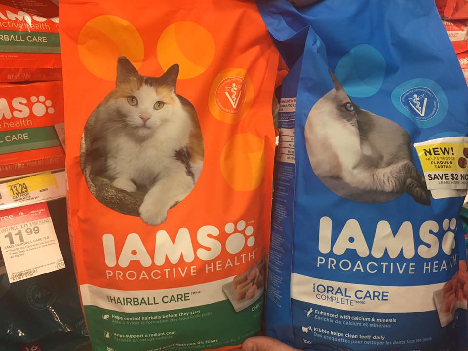 Iams Cat Food At Target