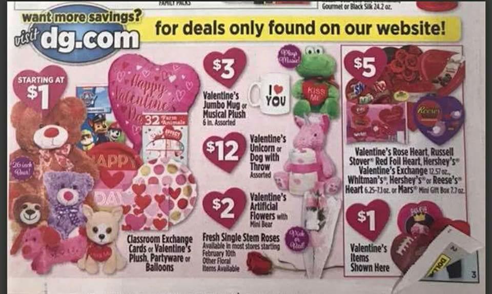 Dollar General Ad Scan Week 2 11 18 Page 1a