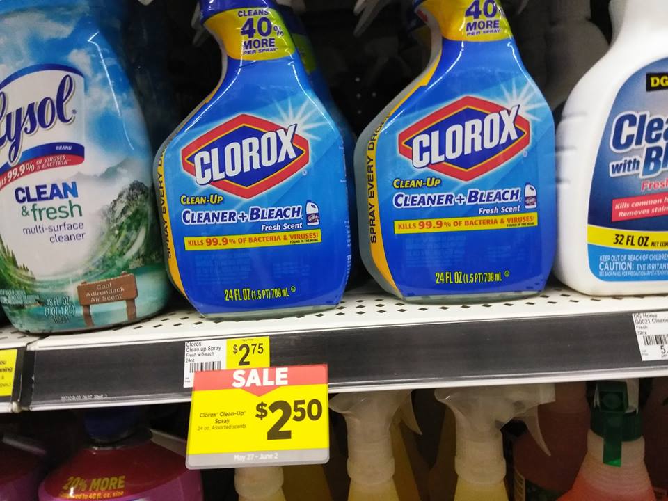 Clorox Clean Up Dg
