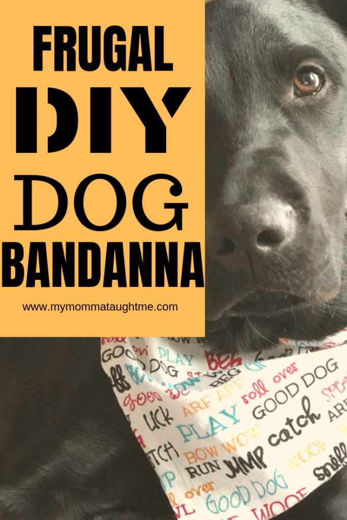 Easy and Frugal DIY DOG Bandanna you can make in no time! 