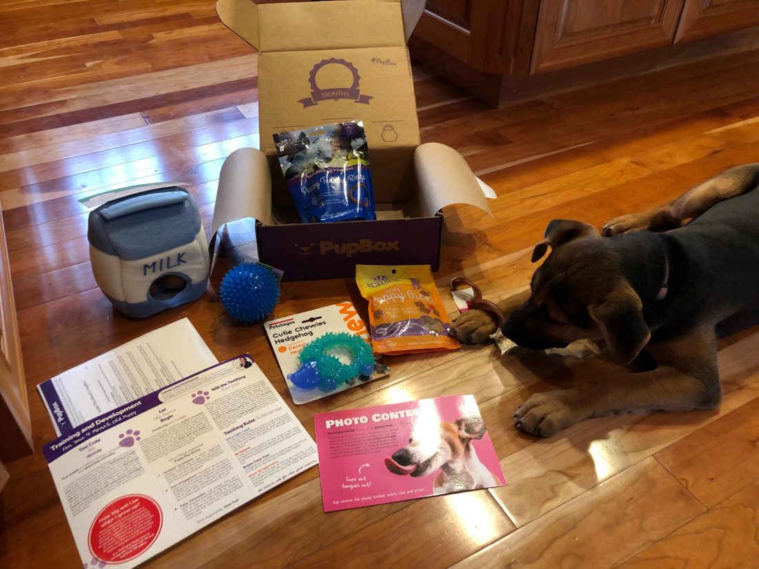 PupBox Monthly Dog Subscription Box items inside
