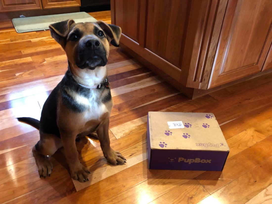 PupBox Monthly Dog Subscription Box