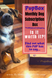 PupBox Monthly Dog Subscription Is It Worth It ! Check Out Our Review!