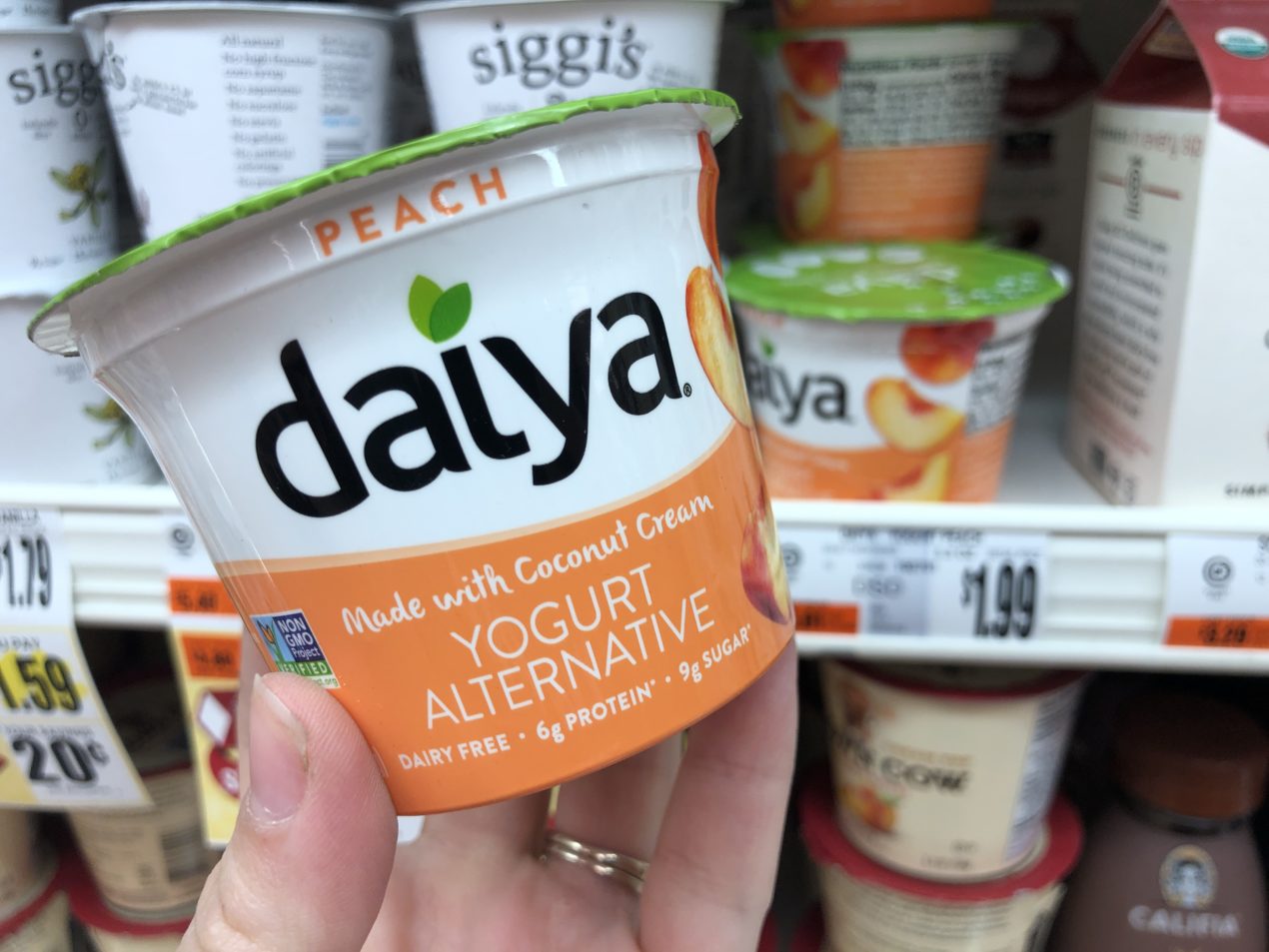 daiya yogurt