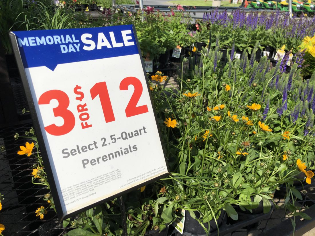 Lowe's Memorial Day Sale 0.99 Annuals and more! My Momma Taught Me