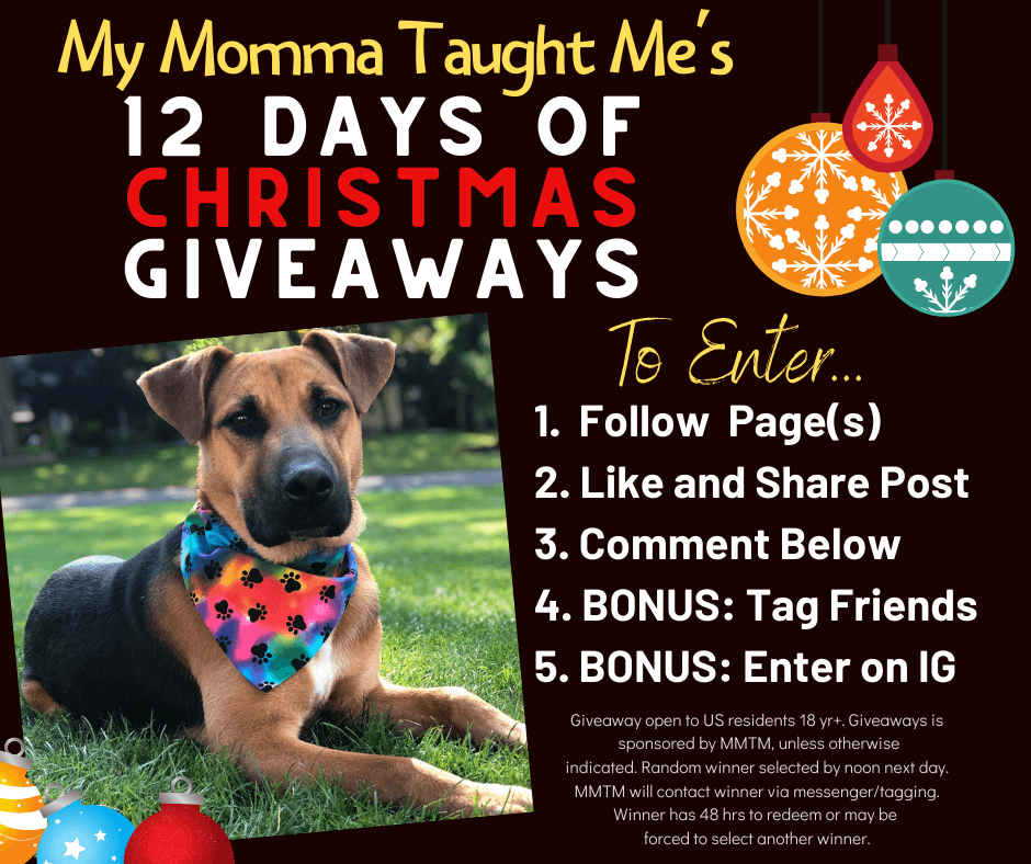 My Momma Taught Me's 12 Days Of Christmas Giveaways 2019 Day 4