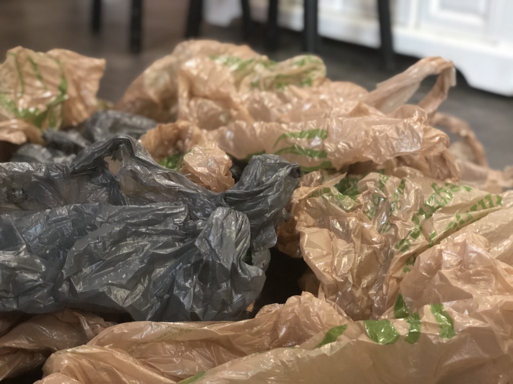 NY Plastic Bag Ban