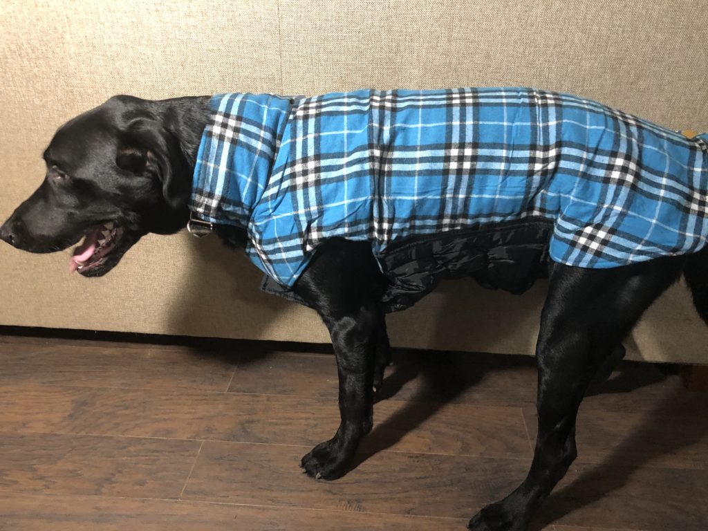 4xl Waterproof Windproof Reversible Plaid Dog Vest