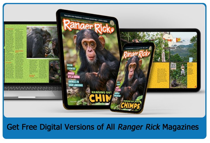 Free Ranger Rick Digital Magazine